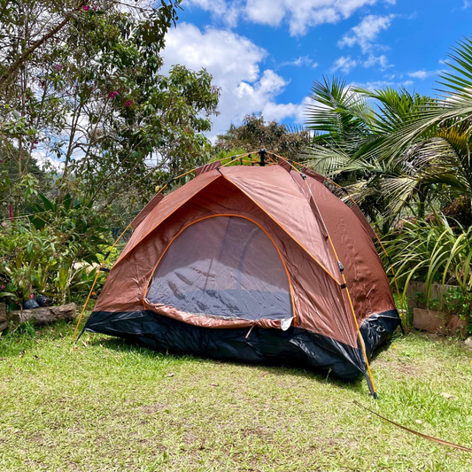 NUEVA CARPA AUTOMÁTICA CAFÉ (5 PERSONAS + ENVÍO GRATIS)